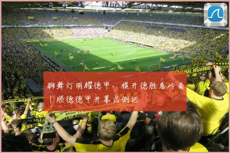 狮舞灯明耀德甲，旗开德胜看岭南丨顺德德甲开幕式侧记